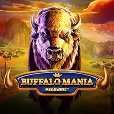 Buffalo Mania Megaways - Red Tiger Gaming
