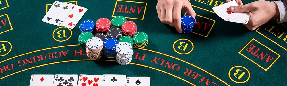 Online casino software providers