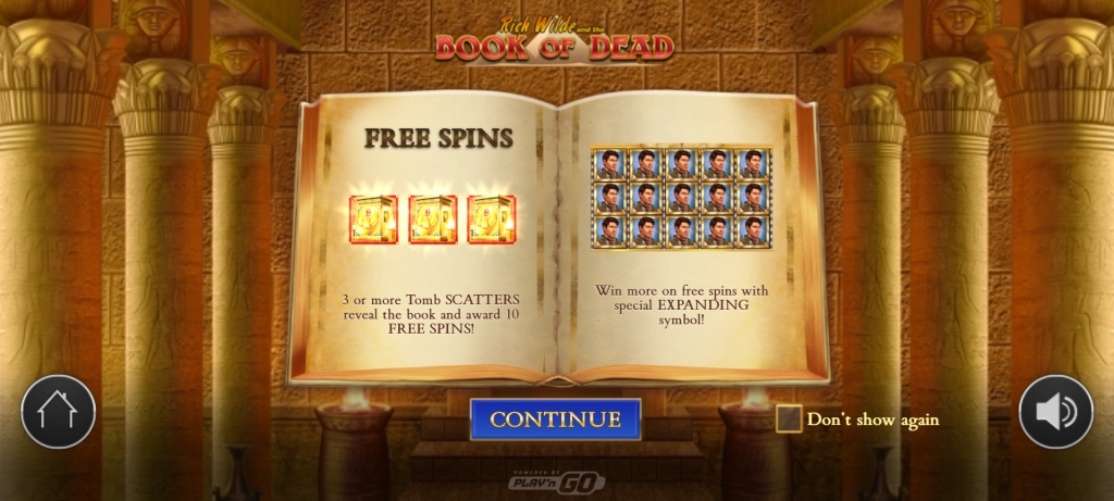 Book of Dead slot gallery 1
