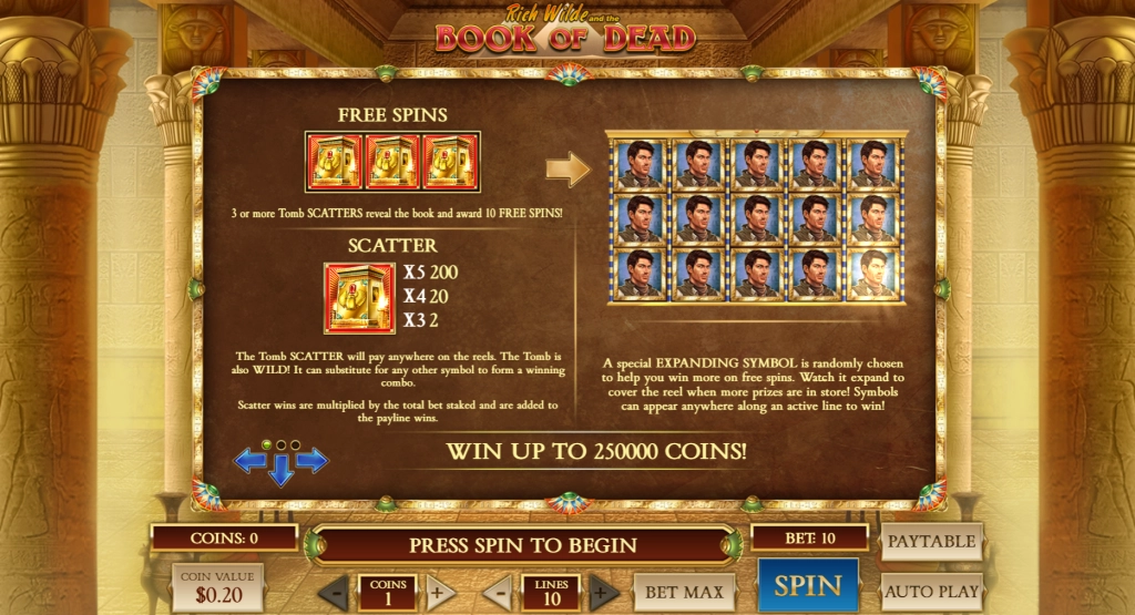 Book of Dead slot gallery 5