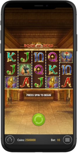 Book of Dead Mobile Review