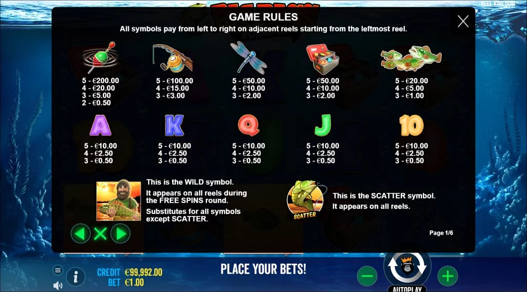 Big Bass Bonanza Overview