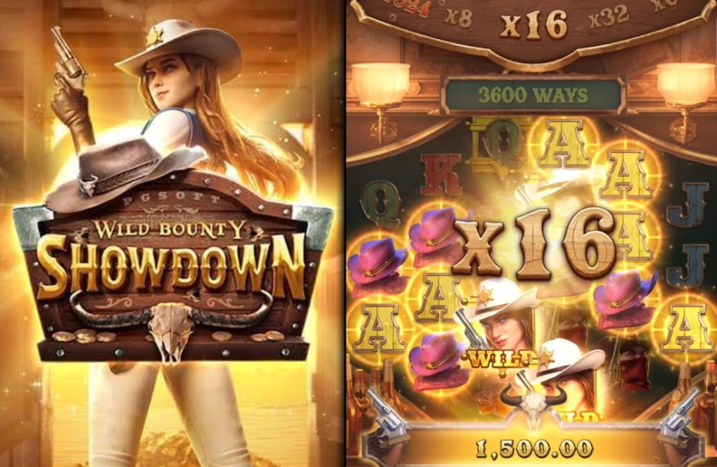 Features and Functions of Wild Bounty Showdown Game